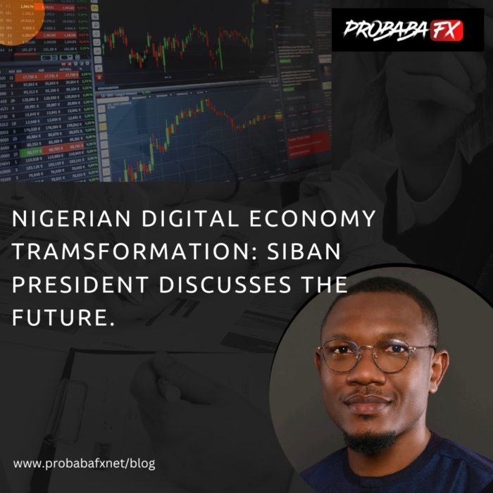 Nigerian digital economy transformation: SiBAN President discusses the future