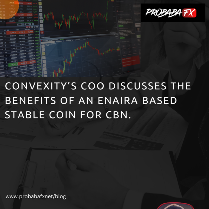 Convexity’s COO discusses the benefits of an eNaira-based stablecoin for CBN.