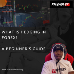 Read more about the article What is Hedging in Forex: A Beginner’s Guide