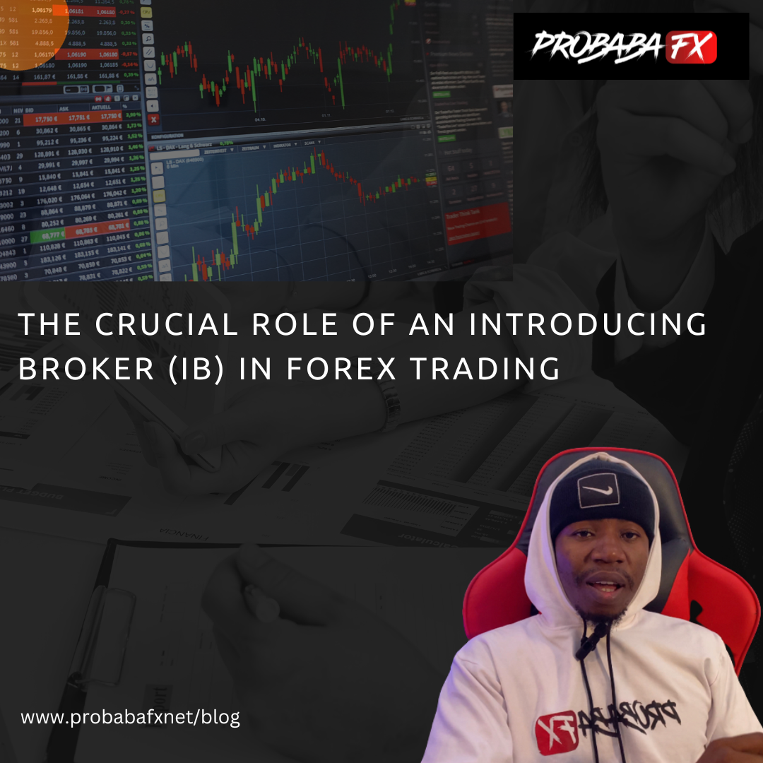 You are currently viewing The Crucial Role of an Introducing Broker (IB) in Forex Trading