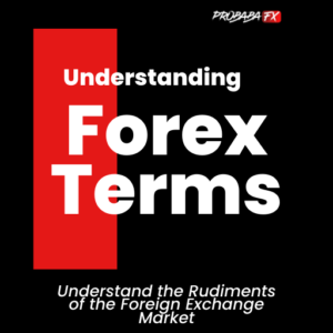 Understanding Forex Terminologies