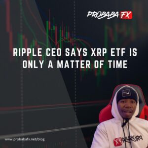 Read more about the article Ripple ETF CEO says it’s only a Matter of time