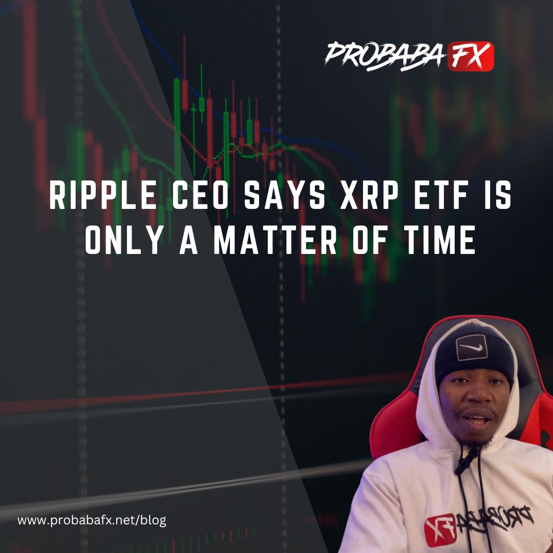 You are currently viewing Ripple ETF CEO says it’s only a Matter of time