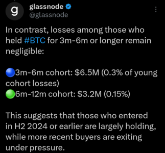 Glassnodes X